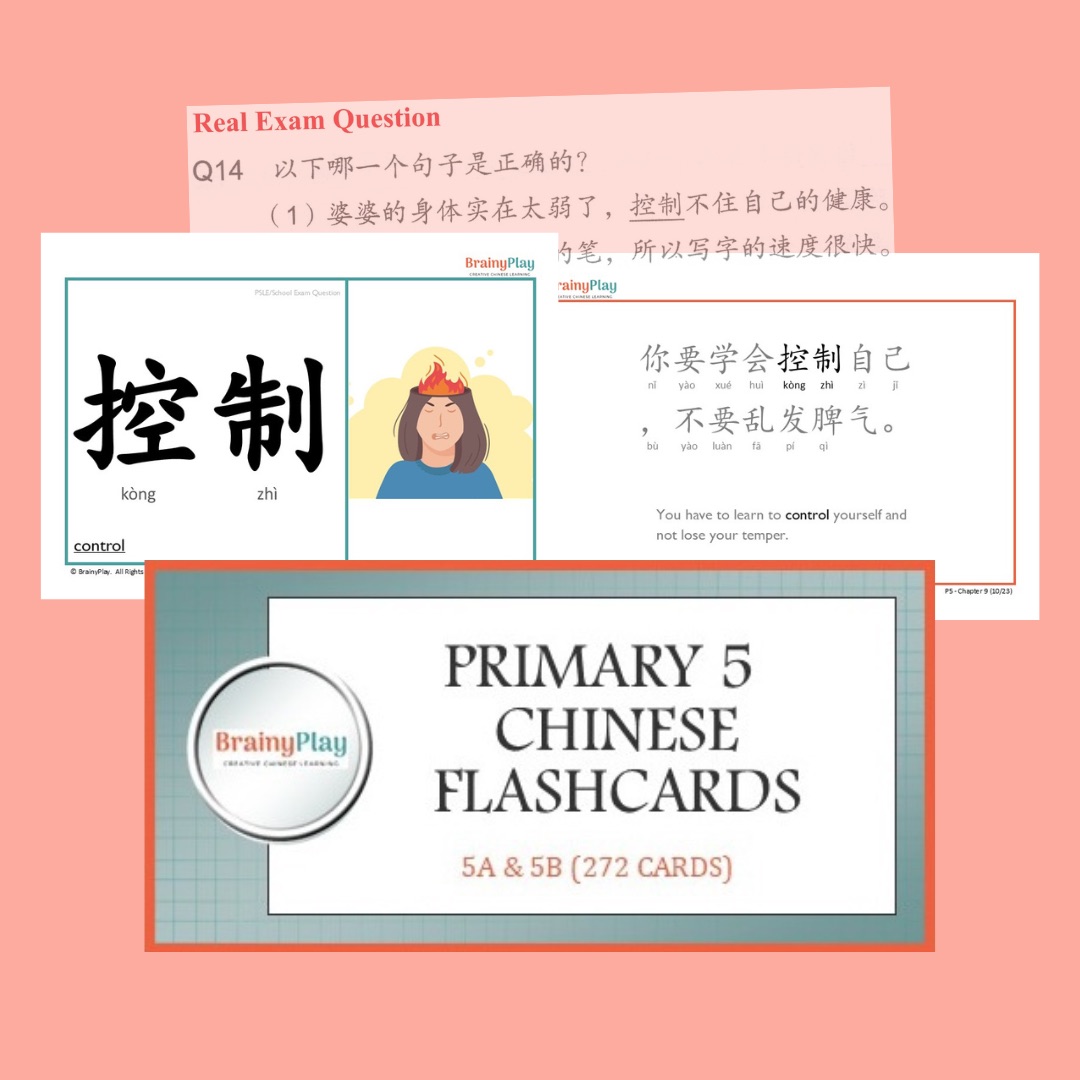Primary 5 (5A & 5B) Chinese Flashcards